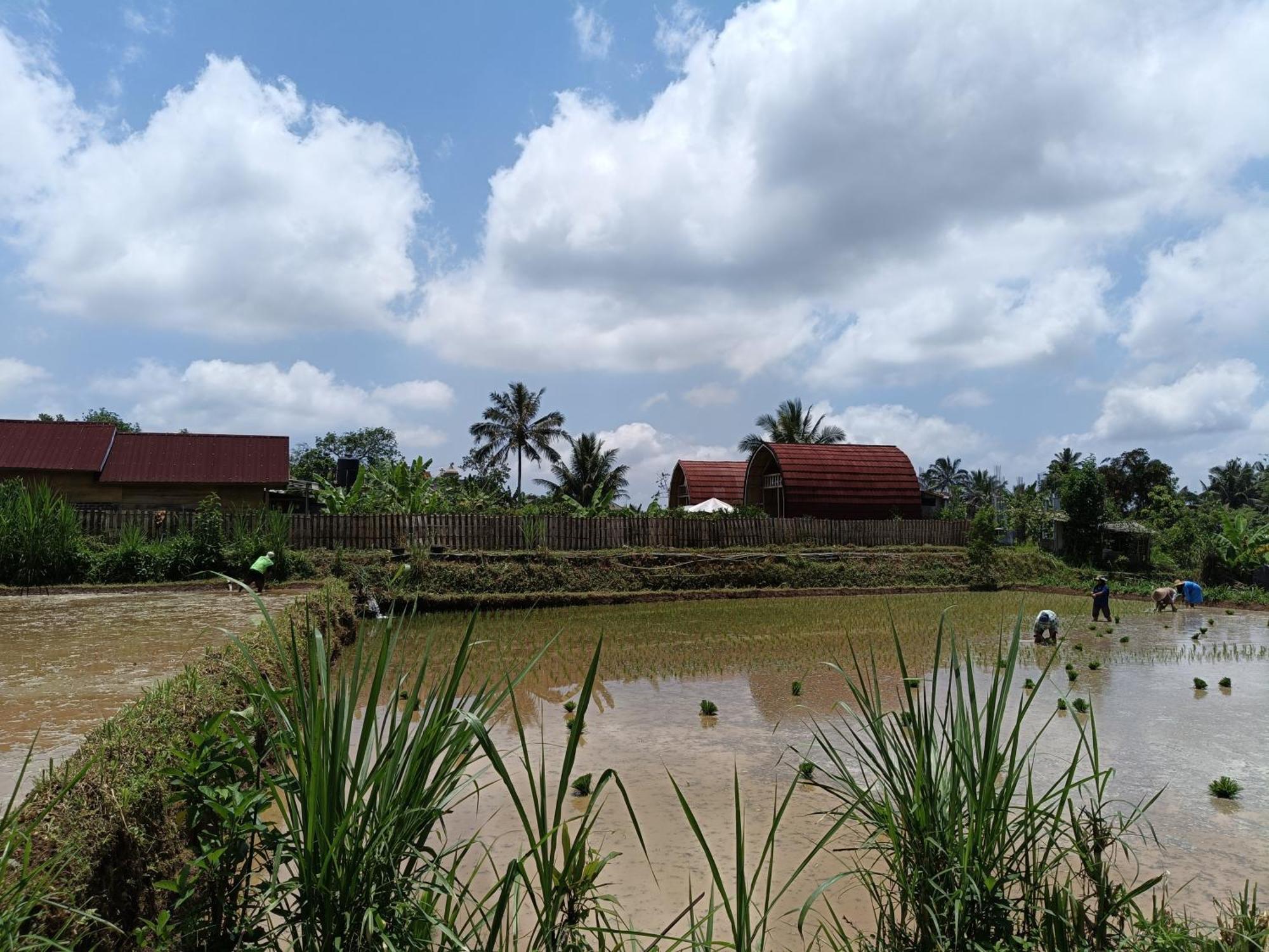 Raturinjani Homestay Selong Exterior foto