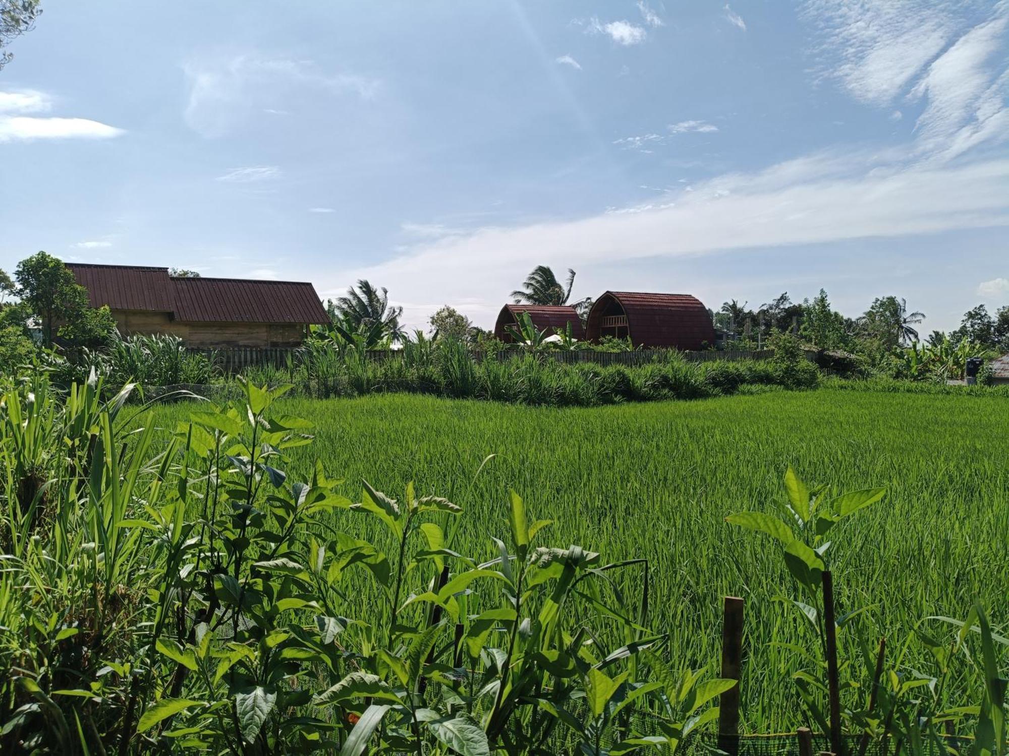 Raturinjani Homestay Selong Quarto foto
